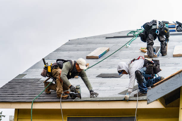 Professional Gutter Installation technician working in Homer, LA